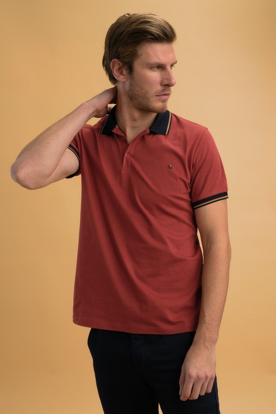 Homme Benson & Cherry Polos Pour Homme | Polo Aux Bordures Colorees Grimms Brique